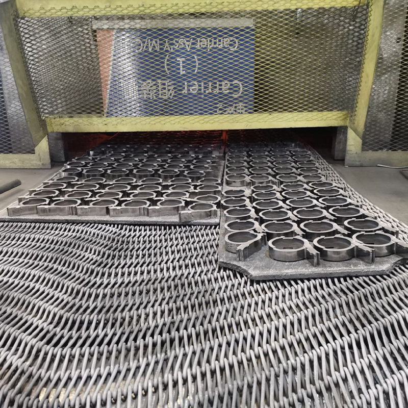 Aeris Substructio Sintering fornax Mesh Cingulum